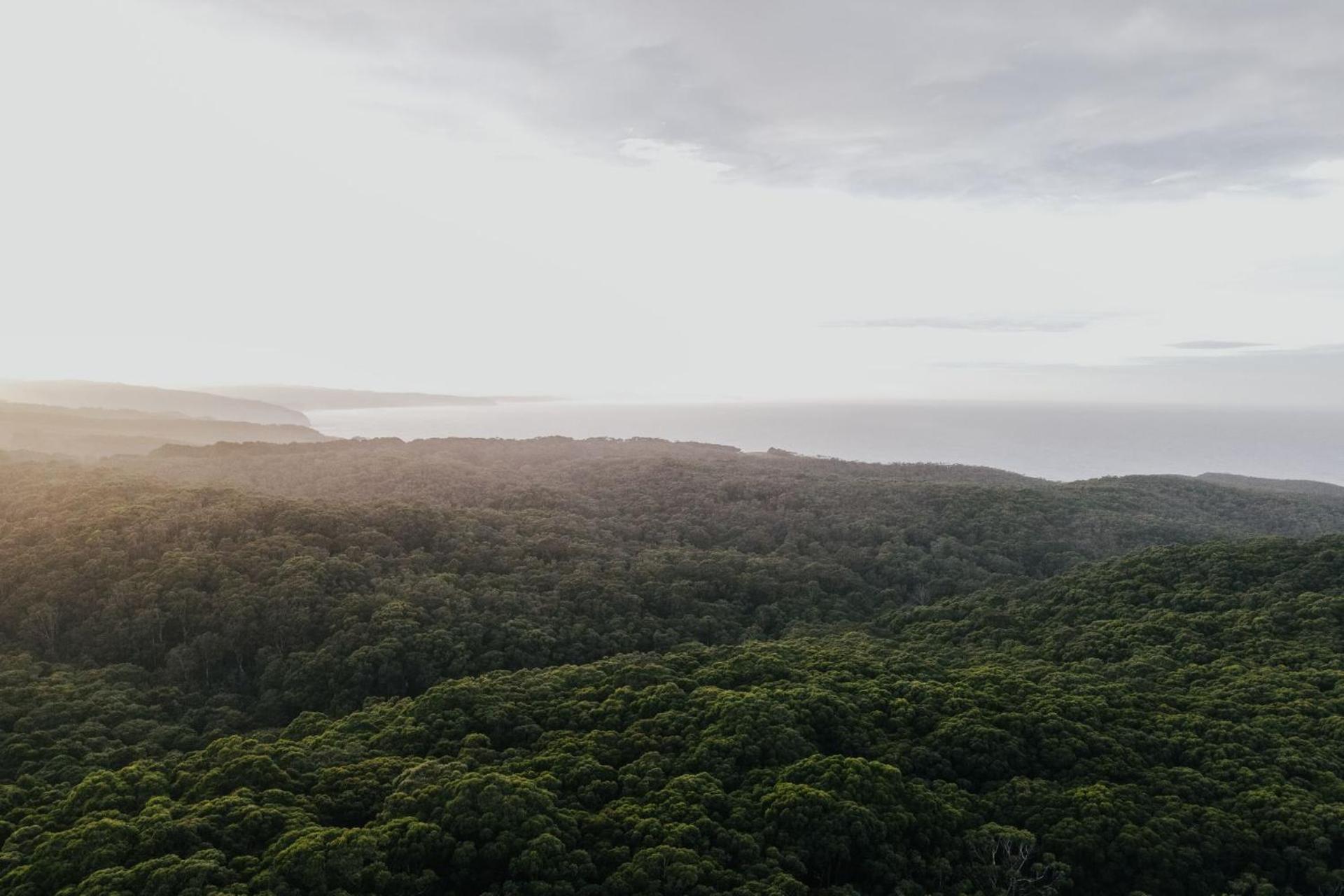Alkina Lodge Nuru Wattle Hill Buitenkant foto